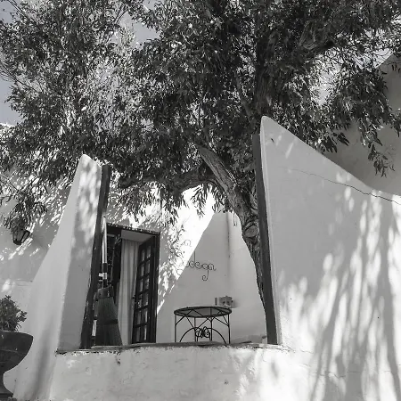 Rural La Bodega Con Piscina Privada Y Wifi Gratis *